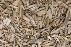 biomass boilers Gwystre